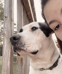 Meet your Posher, Adrianna